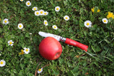 Photo d'un couteau à lame arrondie avec un manche rouge, à moitiié entrain de couper une pomme e couleur rouge. La pomme et le couteau sont posés dans l'herbe avec des marguerites tout autour