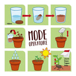 Mode d'emploi illustré d'un kit de jardinage pour enfant. Chaque étape est présenter sous forme de dessin