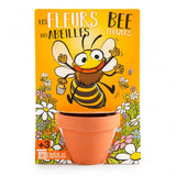 kit de jardinnage pour enfant pour faire pousser des fleurs d'abeilles. Le kit est présenté dans un emballage de couleur jaune avec des illustration de fleurs et d'une abeille rigolotte