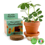 Kit de jardinage pour enfant qui permet de semer des cacahuètes. L'emballage est vert avec des illustration de cacahuètes. A coté de l'emballage, il y a un pot contenant un plant de cacahuète