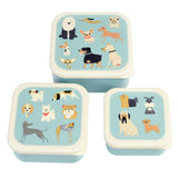 3 boites à gouter de couleurs bleues ciel avec des illustrations de chiens de races différentes sur le couvercle