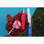 Photo d'une barquette de groseille avec posé dessus une grosses sucette de couleur rose ainsi que 2 couteaux pour enfant de la marque Opinel, le couteau rouge est replié et le bleu à la lame de sortie