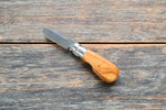 Couteau pour enfant avec un manche en bois arrondi et une lame e acier. Le couteau se pli et se ferme grace à une bague