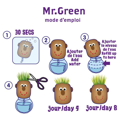 Mr Green - Tête à pousser avec graines de gazon – Les Baby's