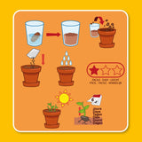 Illustration présentant le pas à pas d’un kit de jardinage pour enfant. Chaque étape est représentée par un dessin.
