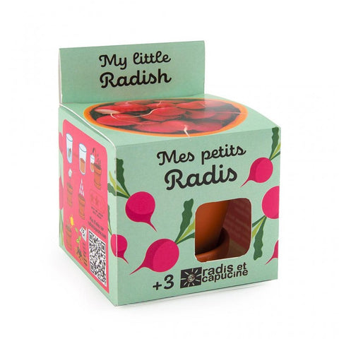 Emballage en carton d’un kit de jardinage pour enfant de la marque Radis et Capucine. Le kit s’appelle mes petits radis. Le coffret est vert d’eau avec des illustrations de radis