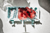 Photo d'un moule a glace en forme de 3 Animaux, contenant des glaces aux fruits rouges. 2 sont entières et sur le 3 eme moule il y a juste le batonnet